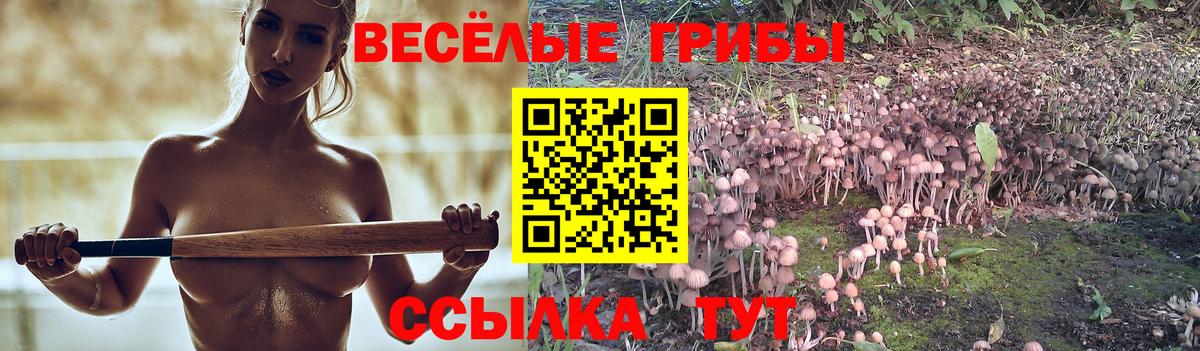 Псилоцибиновые грибы Psilocybe  Вход с VPN  Бахчисарай 