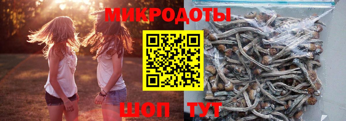 Псилоцибиновые грибы Magic Shrooms Бахчисарай